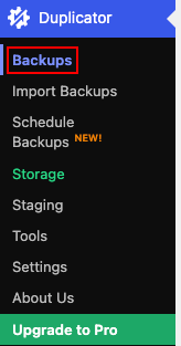 Duplicator Backups